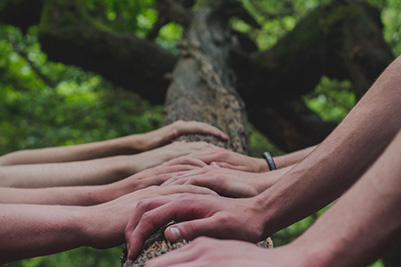 Manca una “P”… o perché la sostenibilità è così difficile.